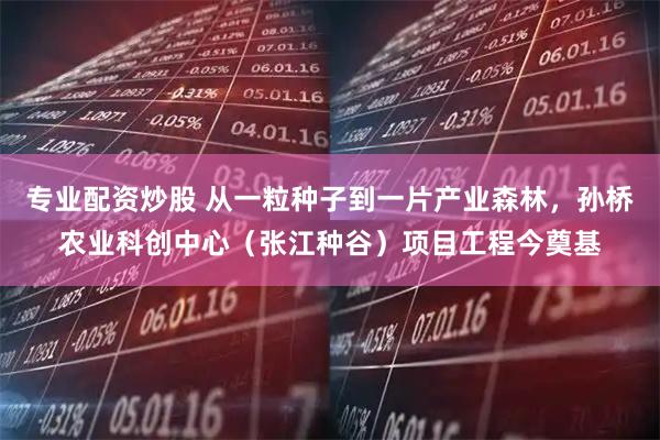 专业配资炒股 从一粒种子到一片产业森林，孙桥农业科创中心（张江种谷）项目工程今奠基